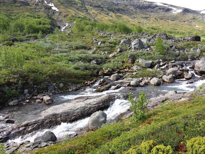 美丽的 旅游业 天空 岩石 风景 流动 公园 自然 旅行