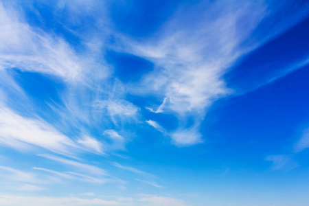 软的 假期 空气 颜色 环境 荷兰 阳光 气象学 卷云 自然