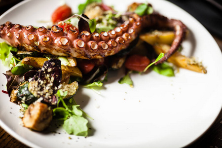 热章鱼沙拉配炒蔬菜和阿吉酱在白色盘子里 在现代美食餐厅 美味健康的地中海传统海鲜餐台上提供午餐 相似素材图片 摄图新视界