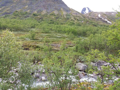 岩石 旅行 风景 自然 夏天 小山 草地 美丽的 天空 环境