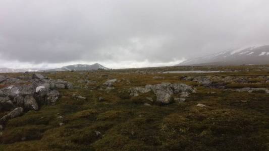 小山 夏天 山谷 美丽的 天空 全景图 公园 自然 森林