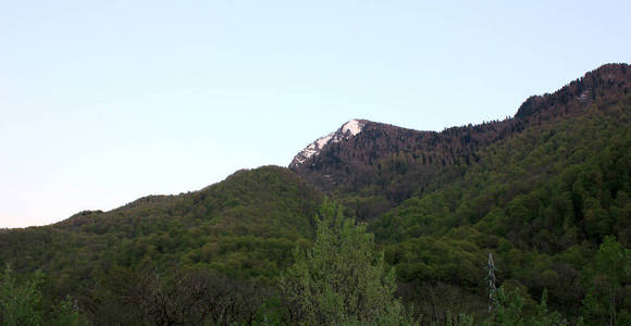 山景。白雪皑皑的山峰和绿树成荫的山坡。