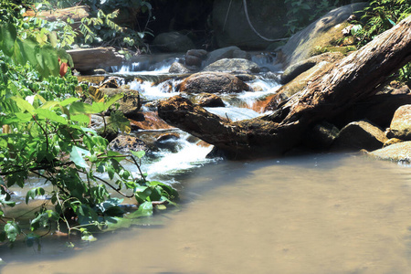 运动 美丽的 春天 夏天 公园 环境 泰国 瀑布 风景 荒野