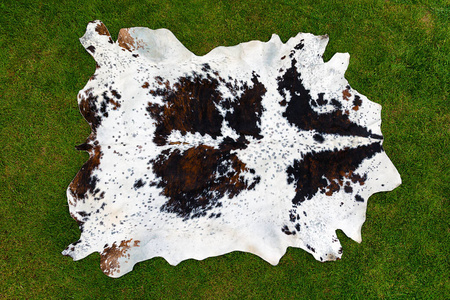 农场 哺乳动物 头发 野生动物 墙纸 皮革 织物 毛皮 打印