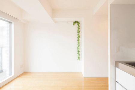建筑学 新的 生活 在室内 共管公寓 简单的 公寓 房间