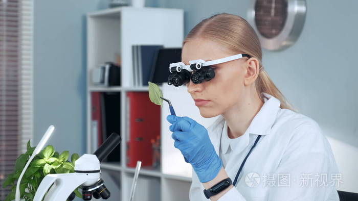 女化学研究科学家放大眼镜注视样本的特写镜头