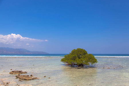 梦想 海洋 旅游 印度尼西亚 美丽的 天空 旅游业 夏天