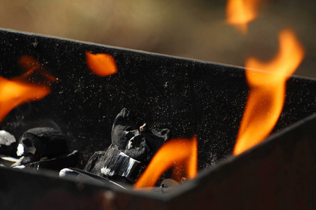 木炭 篝火 野火 温暖的 余烬 火焰 耐火材料 木材 过程
