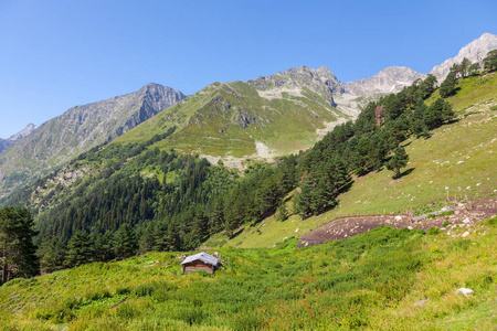 徒步旅行 阿尔卑斯山 旅行 森林 旅游业 山谷 环境 草地