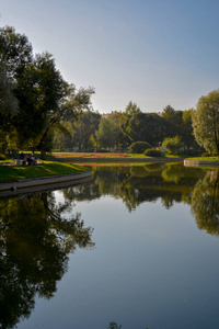 夏日平静湖水中公园的倒影图片