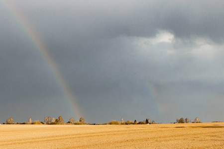 暴风雨 农业 光谱 天空 国家 收获 彩虹 颜色 领域 天气