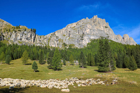 美丽的 旅游业 建筑 全景图 阿尔卑斯山 教堂 意大利 木材