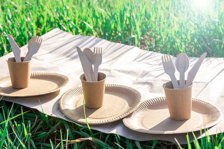 树叶 自然 餐具 野餐 空的 纸板 回收利用 生态 工艺