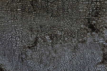 特写镜头 灰泥 水泥 建筑学 混凝土 古老的 纹理 木材