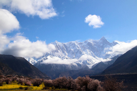 风景 阿尔卑斯山 旅行 天空 岩石 美丽的 夏天 全景图