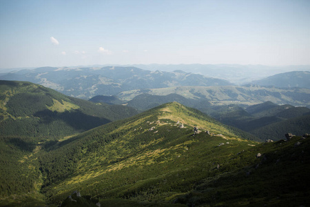 全景图 风景 美丽的 夏天 天空 草地 自然 森林 山谷