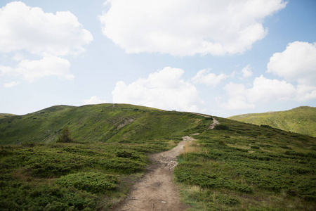 全景图 小山 草地 旅行 美丽的 风景 夏天 公园 天空