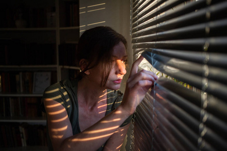 孤独 窗口 传播 家庭 孤独的 焦虑 强调 抑郁 大流行