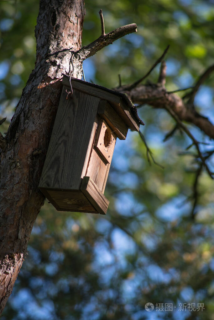仔细看一看树上的鸟舍