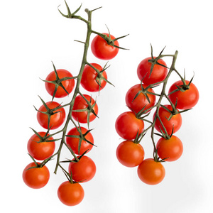 饮食 梅子 分支 营养 特写镜头 自然 番茄 素食主义者