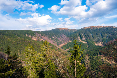 全景图 旅行 森林 风景 丘陵 公园 山谷 小山 天空 自然