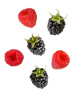 甜的 覆盆子 夏天 剪辑 水果 黑莓 浆果 荆棘 特写镜头
