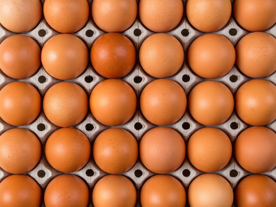 蛋壳 鸡蛋 蛋白质 保护 母鸡 包装 特写镜头 自然 生的