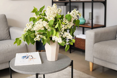 扶手椅 时尚 杂志 丁香花 沙发 花瓶 在室内 芬芳 桌子