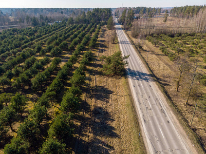 自然 运输 木材 森林 公路 场景 美丽的 果园 农田 种植园