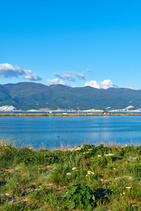 夏天 海湾 岩石 自然 风景 天空 新的 森林 旅行 美丽的