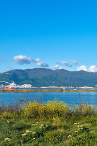 风景 新的 岩石 海岸 旅行 假日 森林 美丽的 海湾 天空