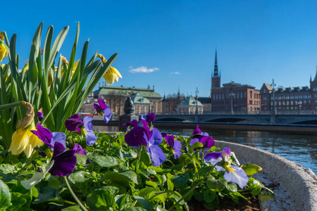旅游业 夏天 欧洲 春天 瑞典 风景 建筑学 斯德哥尔摩