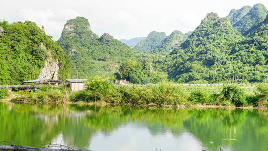 自然 徒步旅行 露营 反射 省份 夏天 秋天 公园 森林