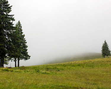 喀尔巴阡山 夏天 步行 春天 草地 乌克兰 环境 小山 早晨