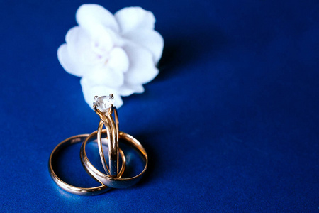 假日 美丽的 戒指 结婚 浪漫的 家庭 金属 浪漫 庆祝