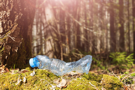 世界 浪费 塑料 森林 自然 地球 生态 习惯于 行业 保护