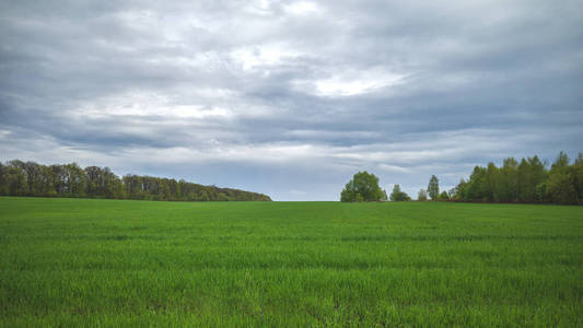 领域 季节 成长 土地 平原 场景 外部 国家 环境 草地