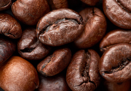 摩卡 罗布斯塔 能量 早餐 种子 浓缩咖啡 饮料 风味 芳香