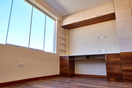 衣柜 奢侈 公寓 组织 衣架 木材 空的 地板 房子 新的