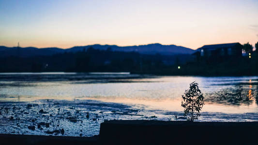 神秘的 欧洲 日出 自然 早晨 阳光 黎明 风景 植物区系