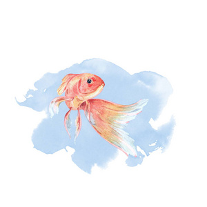 手绘金鱼图片-手绘金鱼素材-手绘金鱼插画-摄图新视界