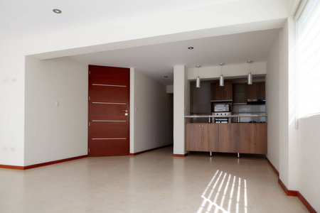 公寓 建筑学 新的 空的 木材 地板 房间 房子 奢侈
