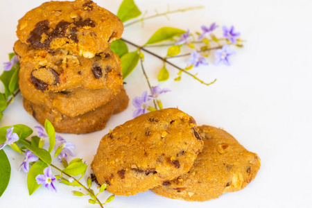 营养 美味的 巧克力 特写镜头 饼干 紫色 小吃 面包店