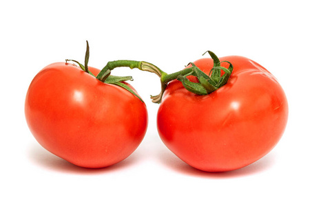 营养 植物 蔬菜 素食主义者 番茄 分支 美味的 水果 维生素