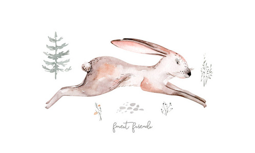 苗圃兔斯堪的纳维亚野兔森林苗圃海报设计.孤立的兔子性格照片