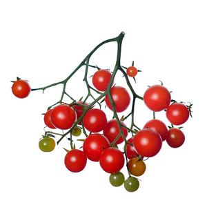 农业 饮食 植物 水果 特写镜头 分支 健康 维生素 樱桃