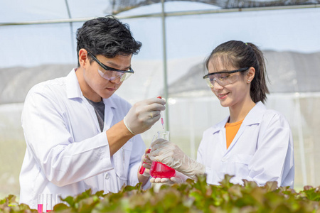 水培 花园 实验室 商业 生长 栽培 沙拉 生物学家 蔬菜