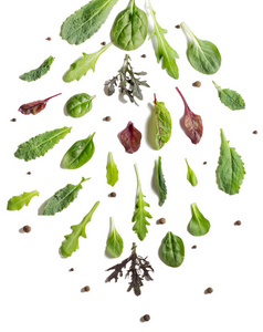 食物 混合 菠菜 颜色 树叶 饮食 维生素 营养 自然 沙拉
