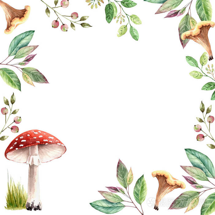 水彩框架从蘑菇植物和浆果插图