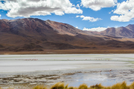 荒野 复制空间 储备 天空 沙漠 南方 玻利维亚 旅行 环境